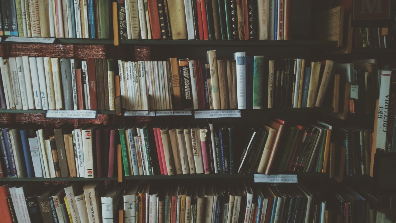 librairie-COTIGNAC-min_bookcase-1869616